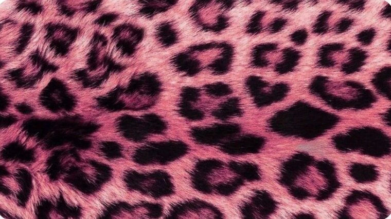ARIA NA$TIE banner image