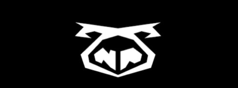 NastyBearUploads banner image