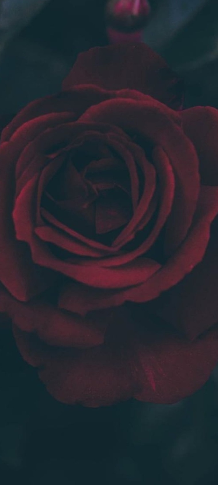 Natt Castro cover image