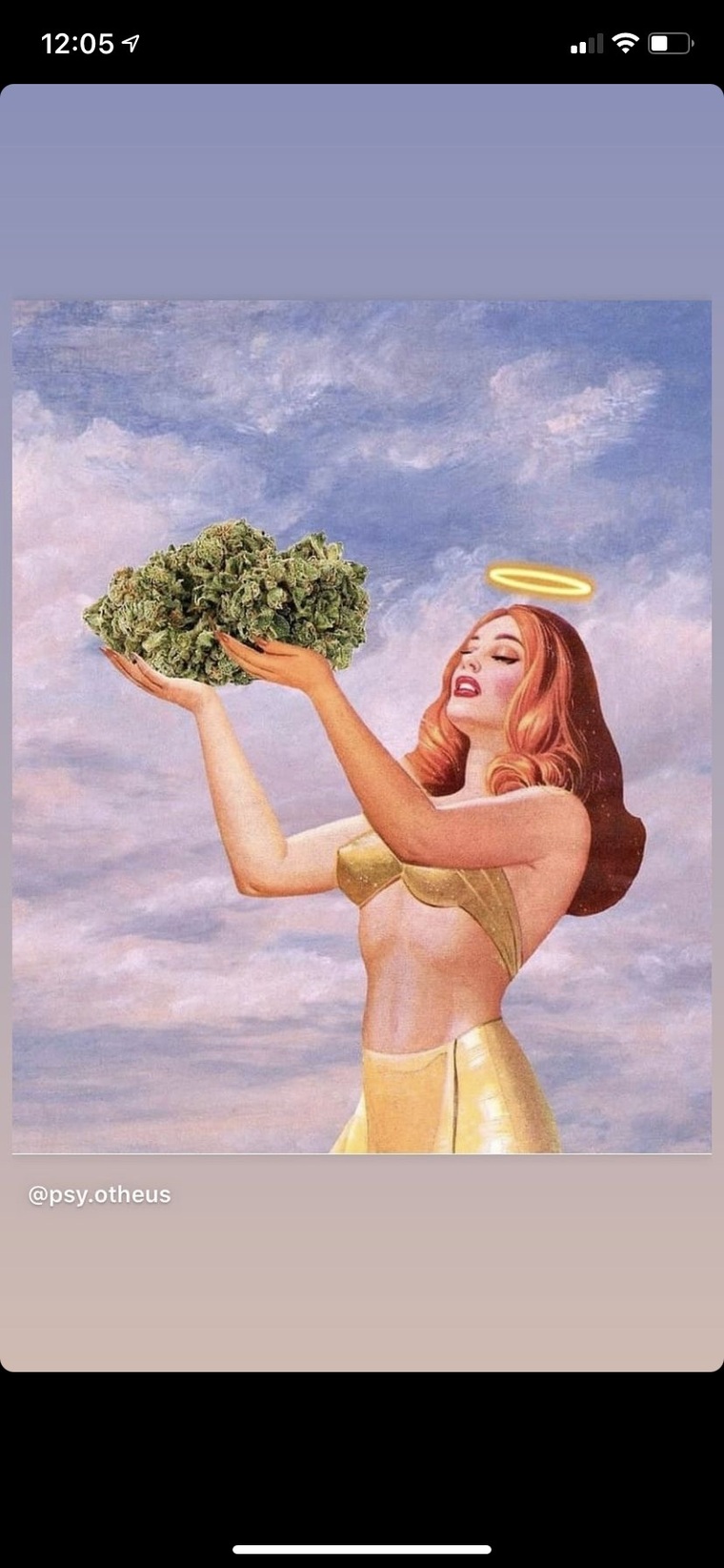 Natasha Rose cover image