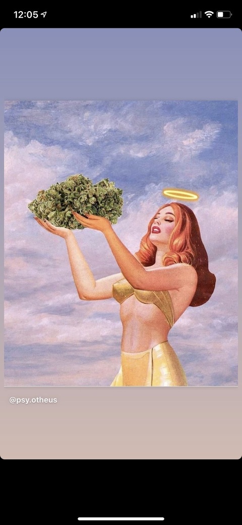Natasha Rose cover image