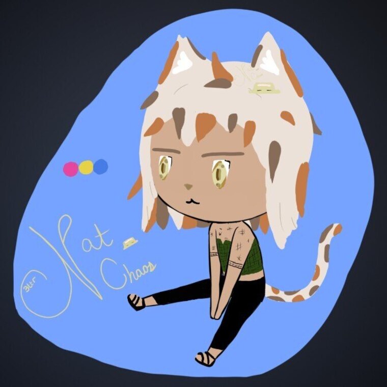 NatChaos Bttr banner image