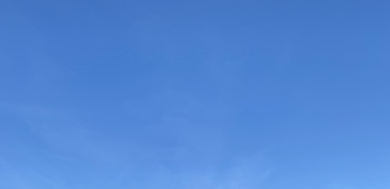 Nathalie banner image