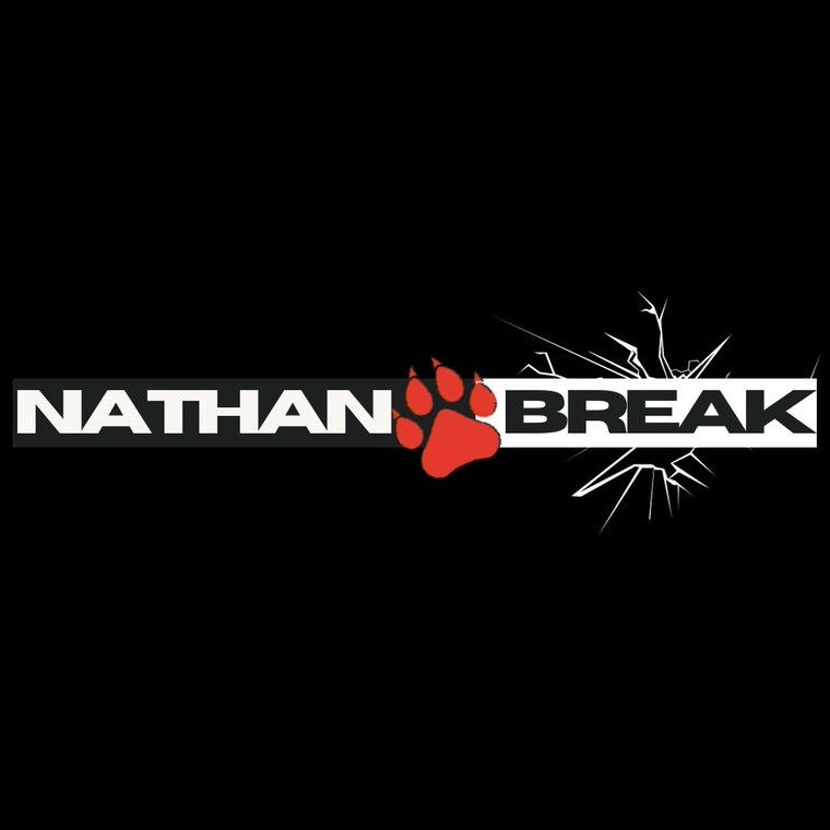 Nathan Break cover image