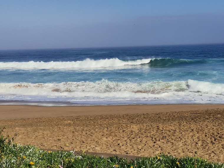 Naty banner image