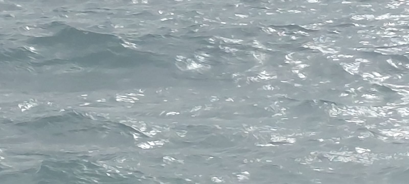 Natural Blonde banner image