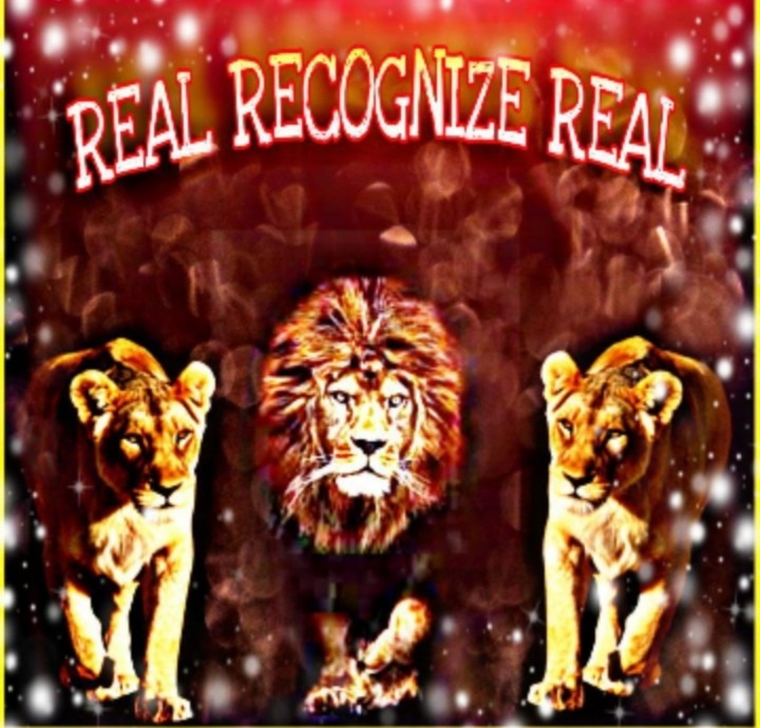 Natural_lifestylez banner image