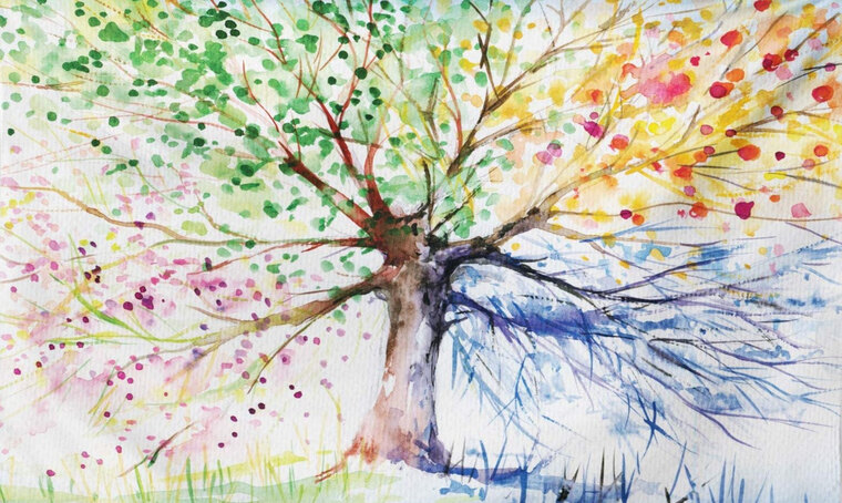 Natura banner image