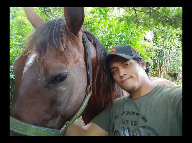NaturalistCowboy banner image