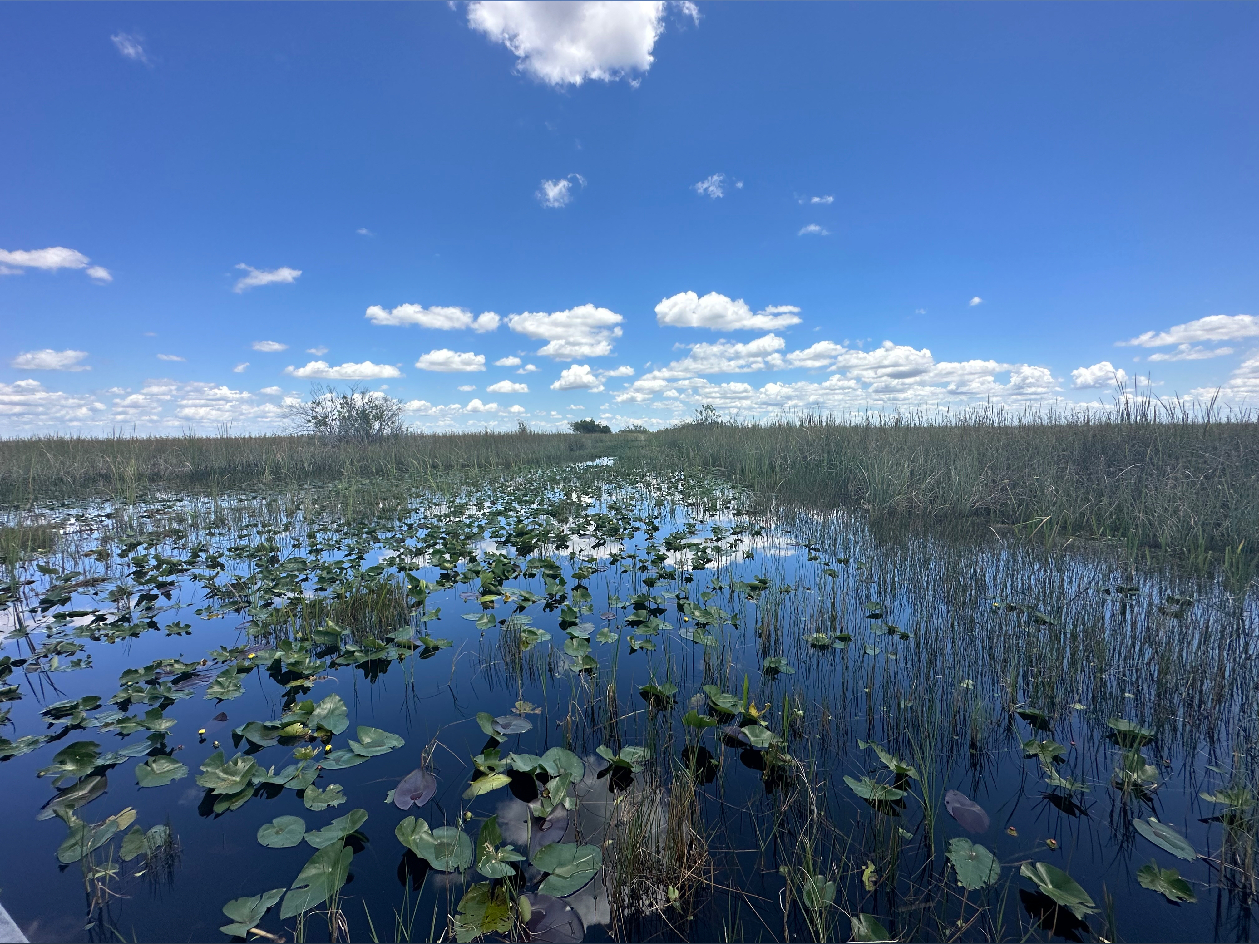 naturalistfootlover banner image