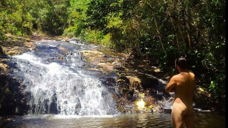 Brazilianbear banner image
