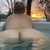 NatureLovers76 avatar