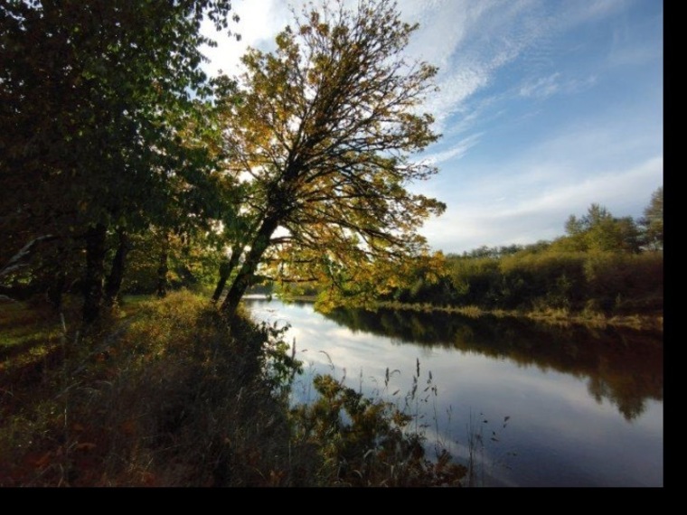 River cover image