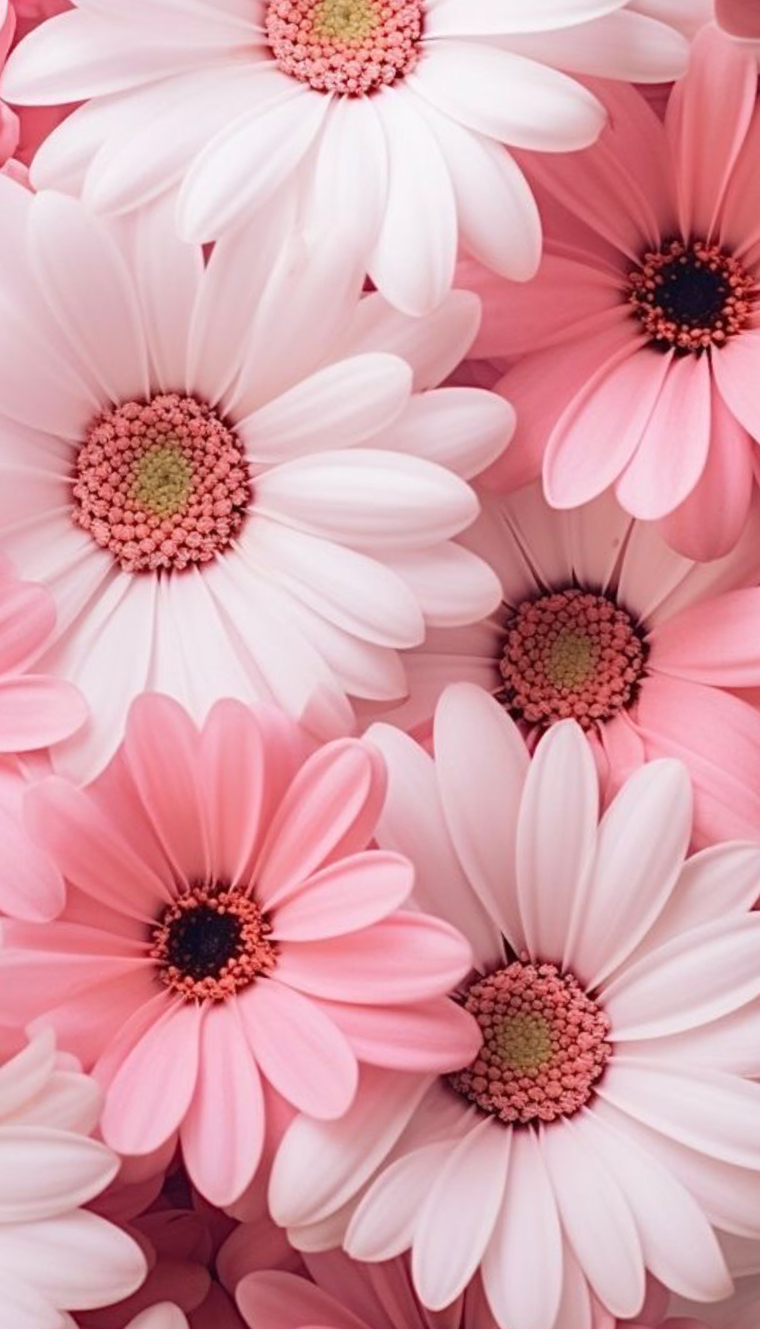 Amber π banner image