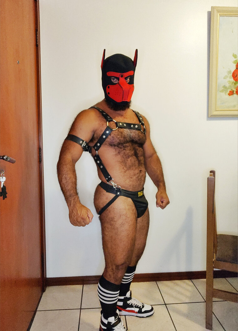 NAUGHTYBEARBR 🐻🇧🇷 cover image