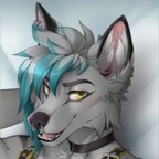 NaughtyCrash avatar