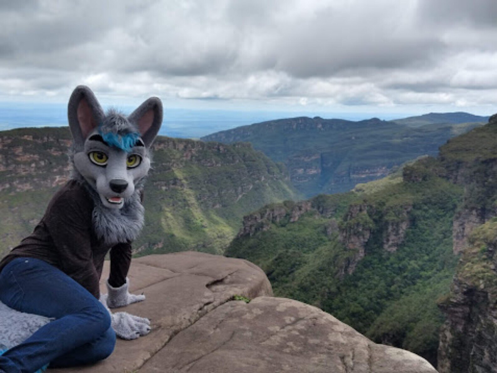 NaughtyCrash banner image