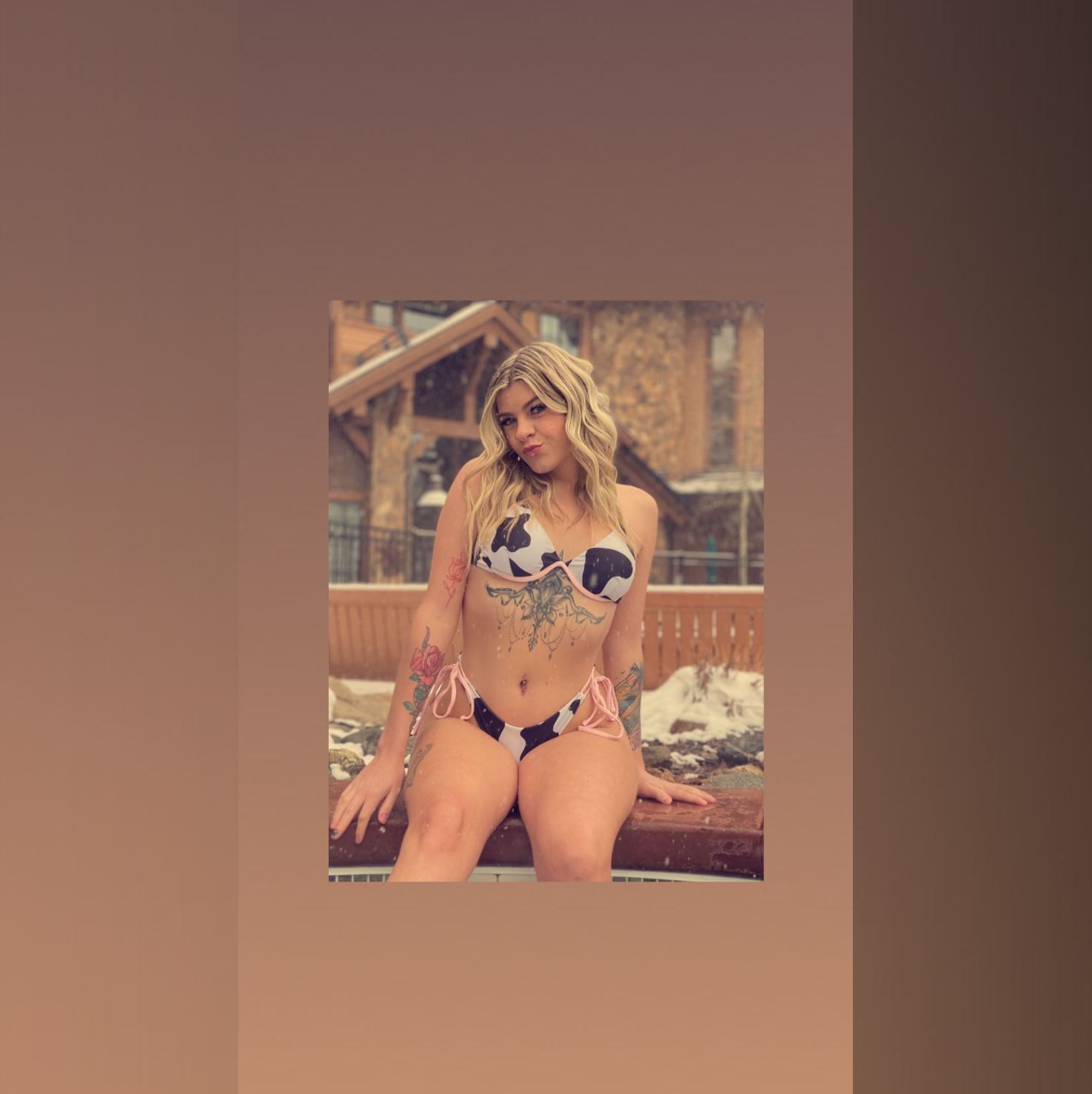 Haley banner image