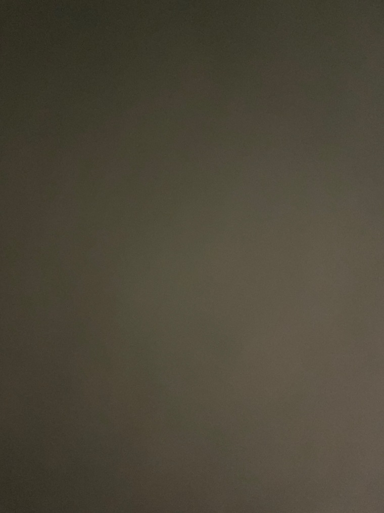 Kitten cover image