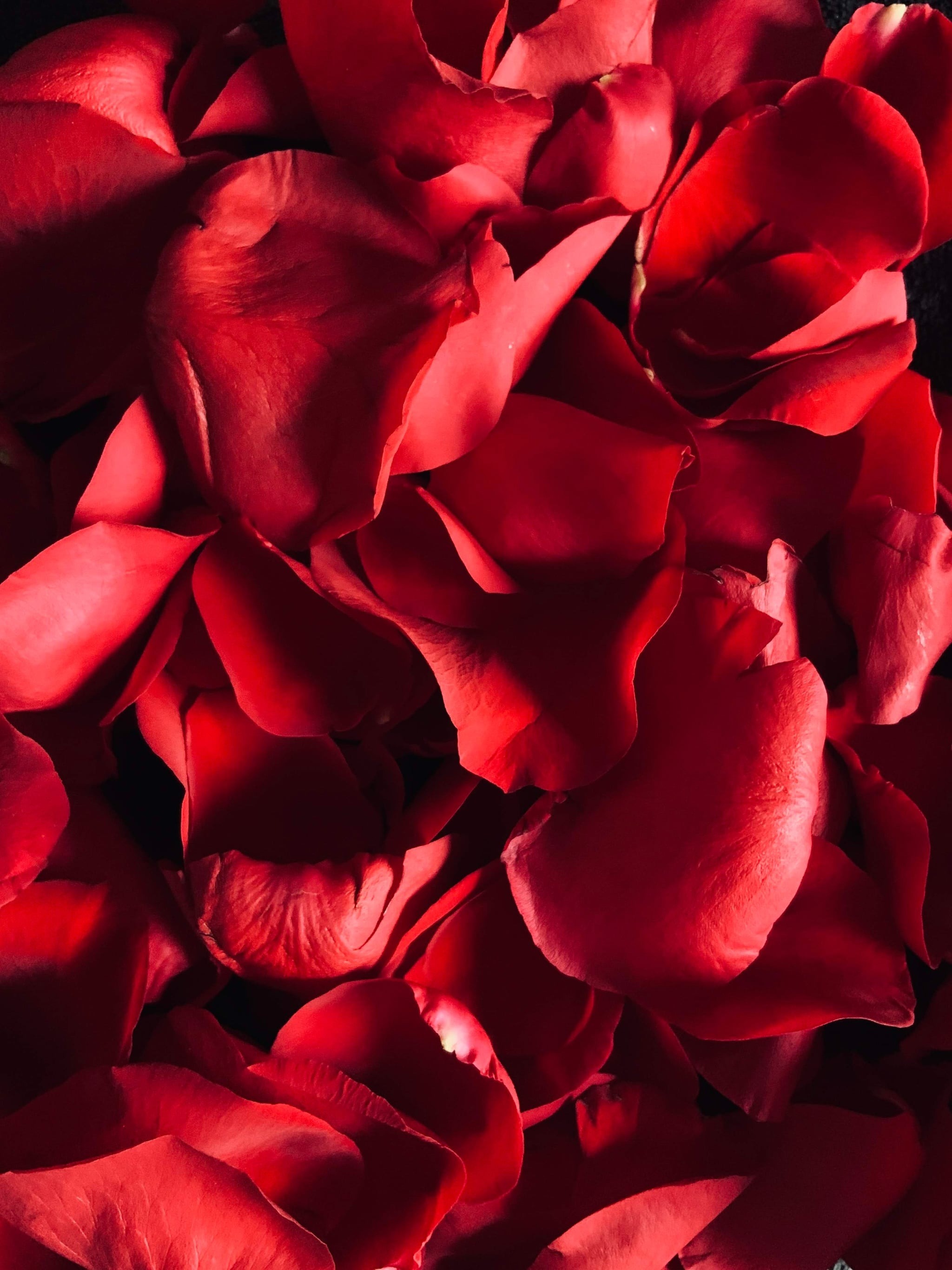 NaughtyNikki818 banner image