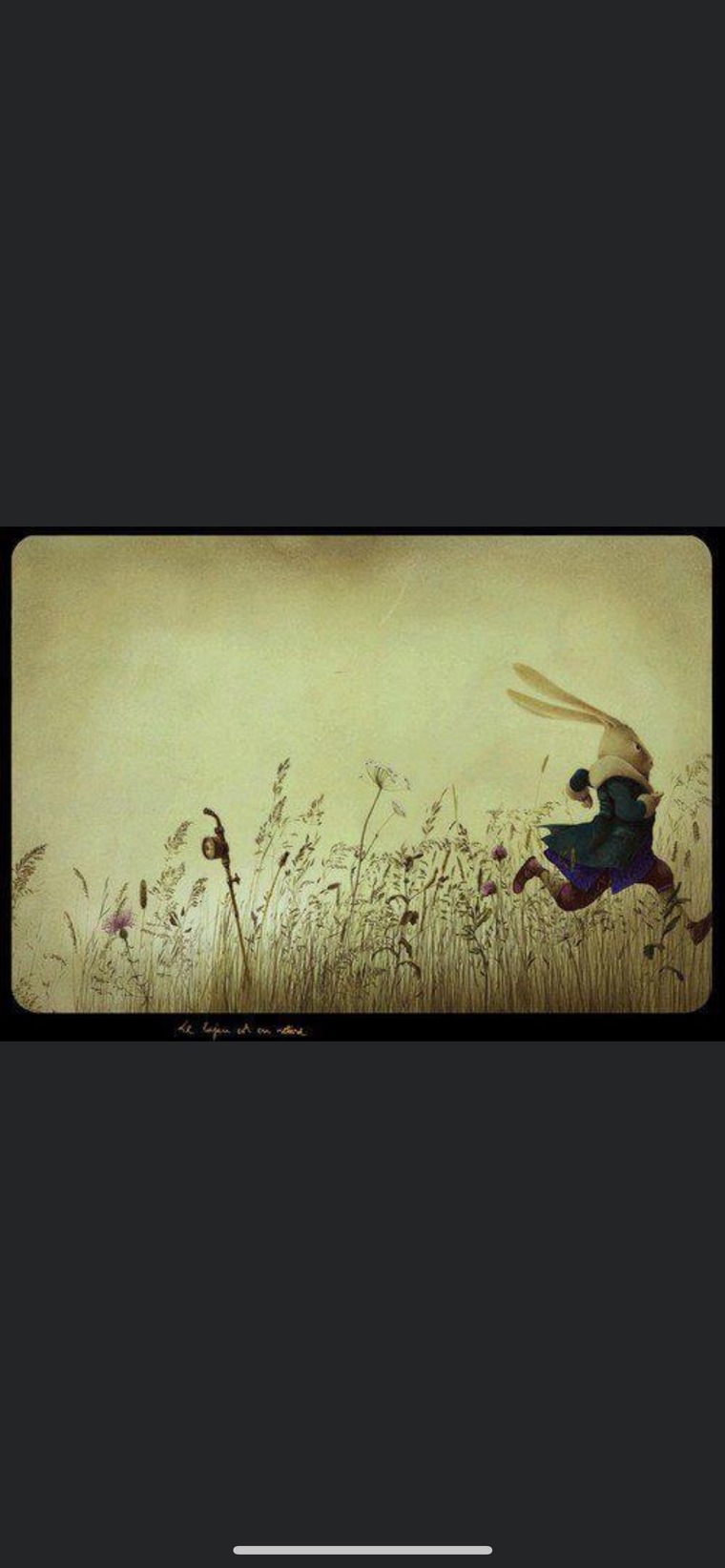 Peaches cover image