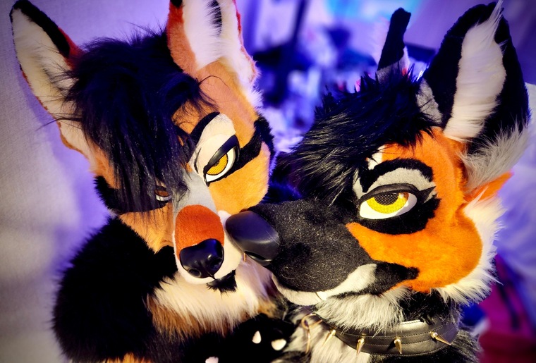 Riley and Rogue ~ banner image