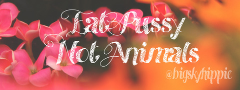 🌈 𝓢𝓴𝔂 🌈 𝓝𝓪𝓾𝓰𝓱𝓽𝔂 𝓗𝓲𝓹𝓹𝓲𝓮 ☮️ cover image