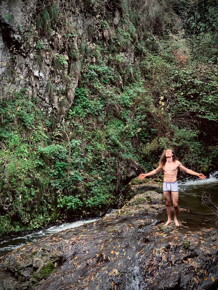 Curly Tarzan banner image