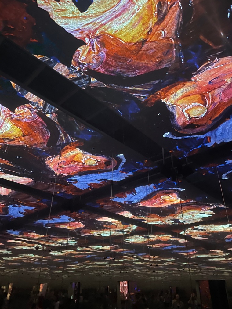 Nayrvid cover image