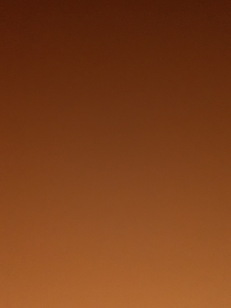 Fat dick trip cover image