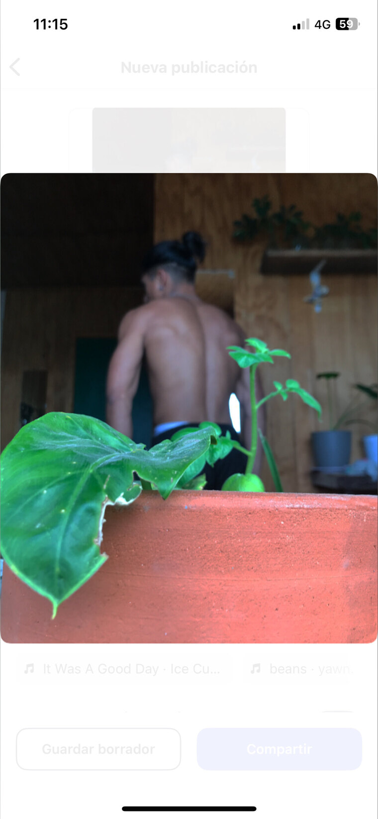 Negro cover image