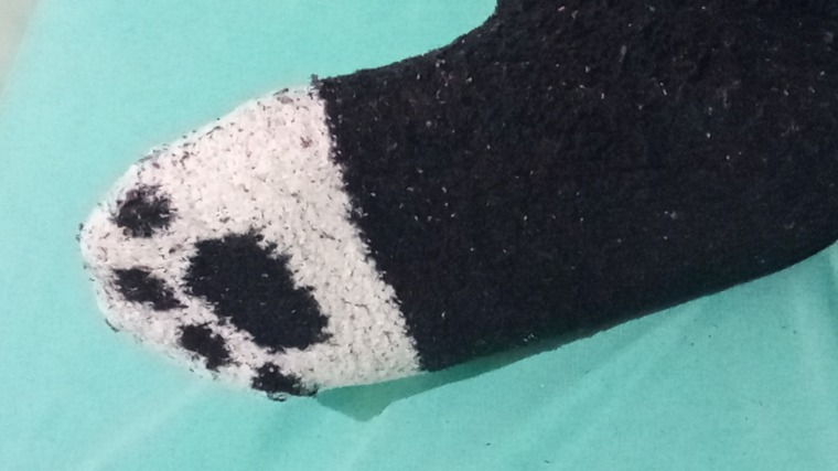 Nekasfeet-footfetish cover image