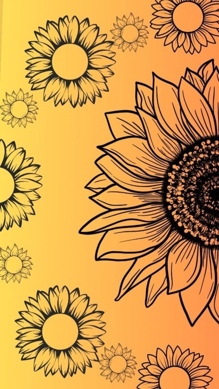 Sunshine cover image