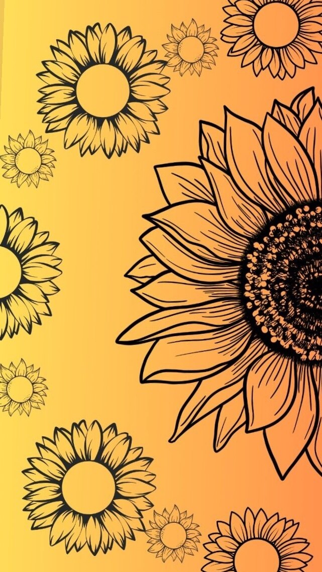 Sunshine banner image