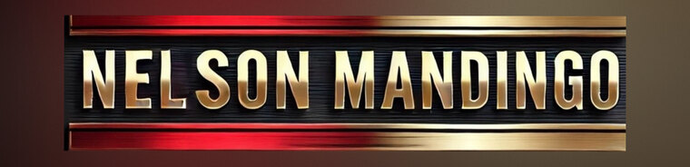 NelsonMandingo X banner image