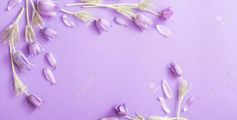 nenelove06 banner image