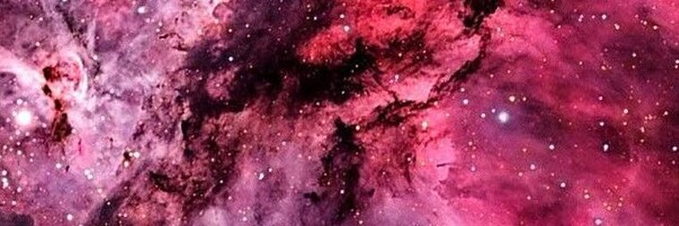 Nerd versátil cwb banner image