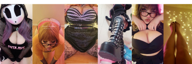 NerdyCurvyKitten banner image
