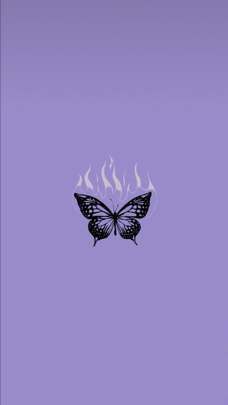 Nessa Mzc cover image