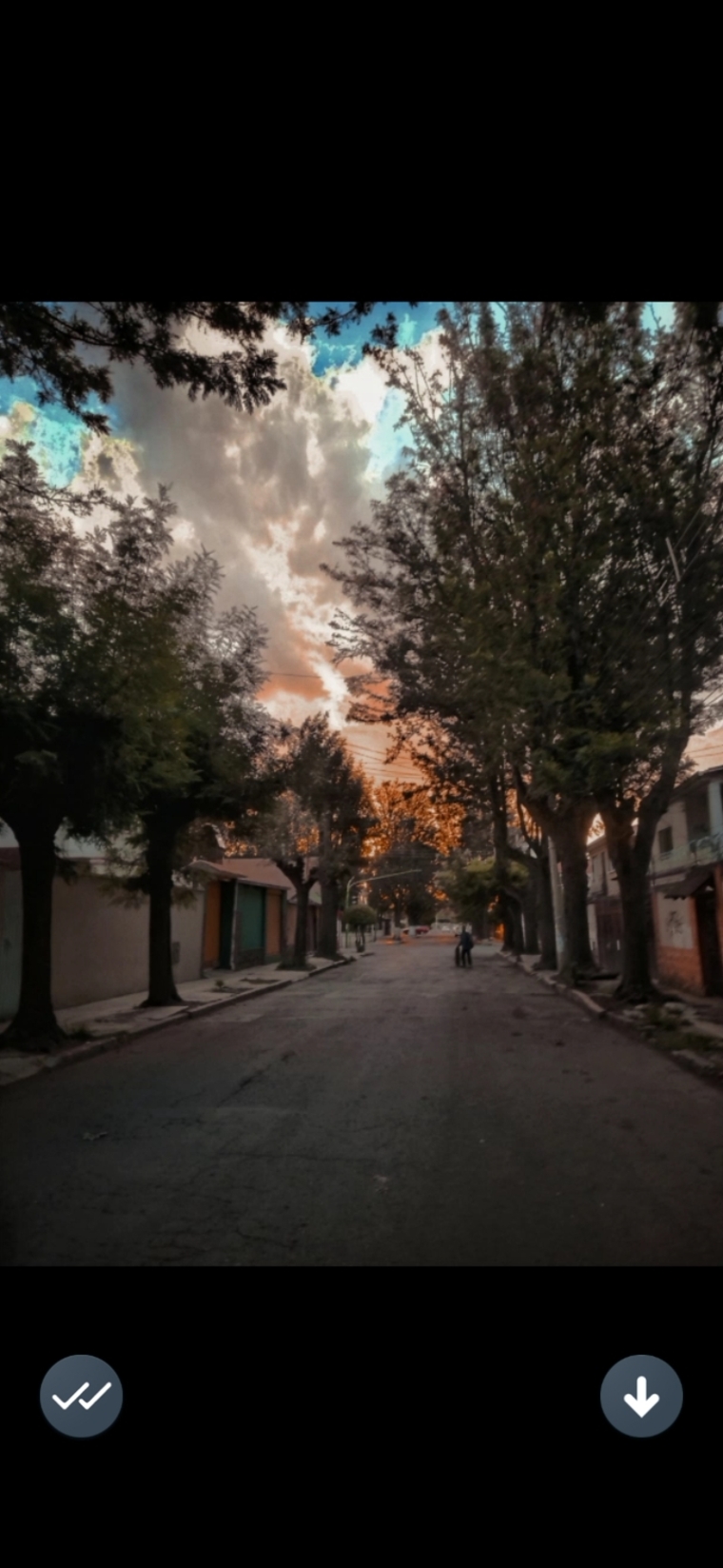 Nestor cover image