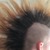 DerSchwanzUndSeinePussy avatar