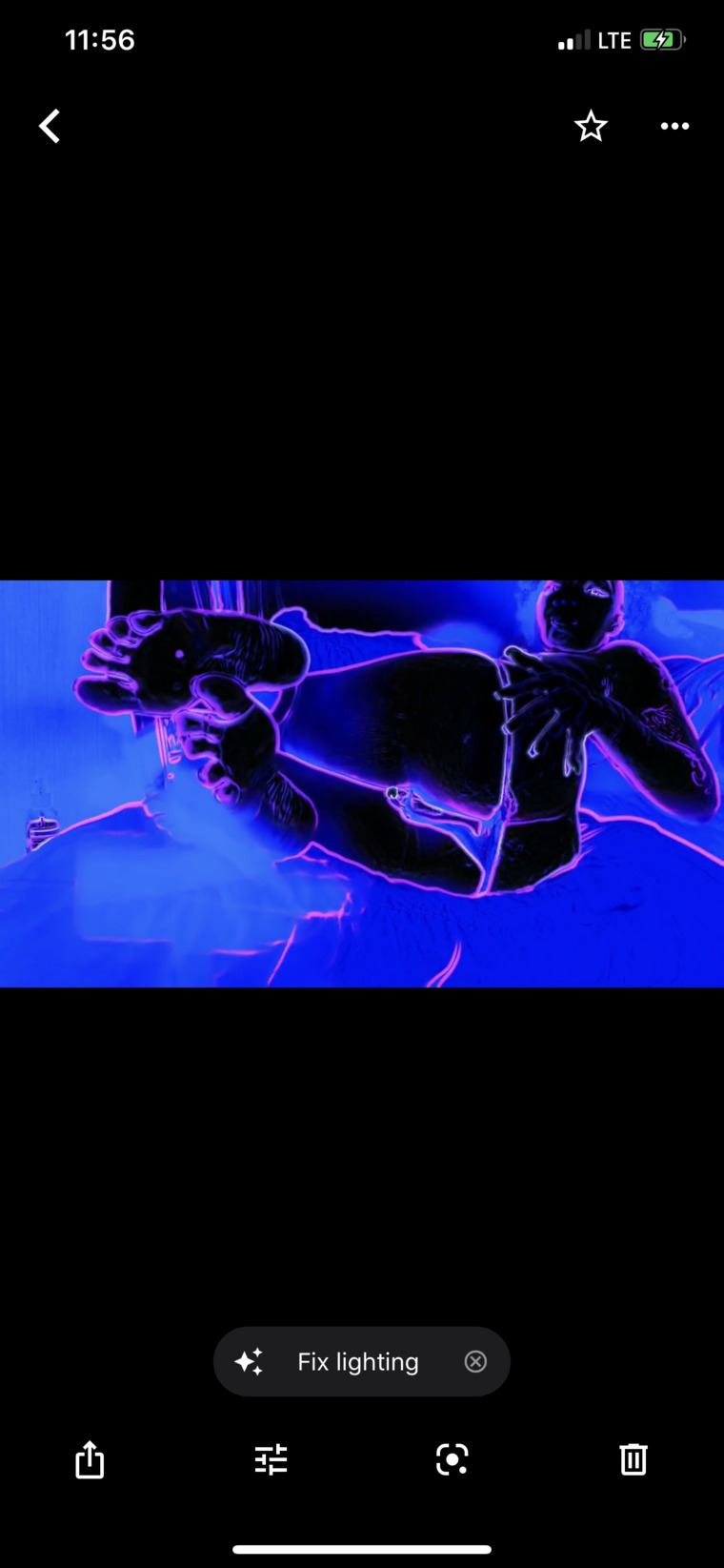 Ebony banner image