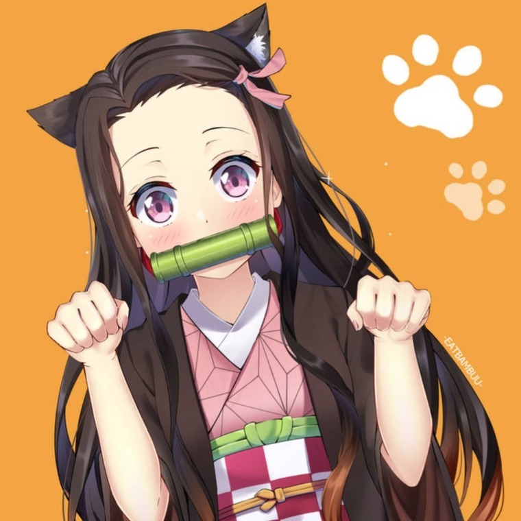 Nezukomi Kamado cover image
