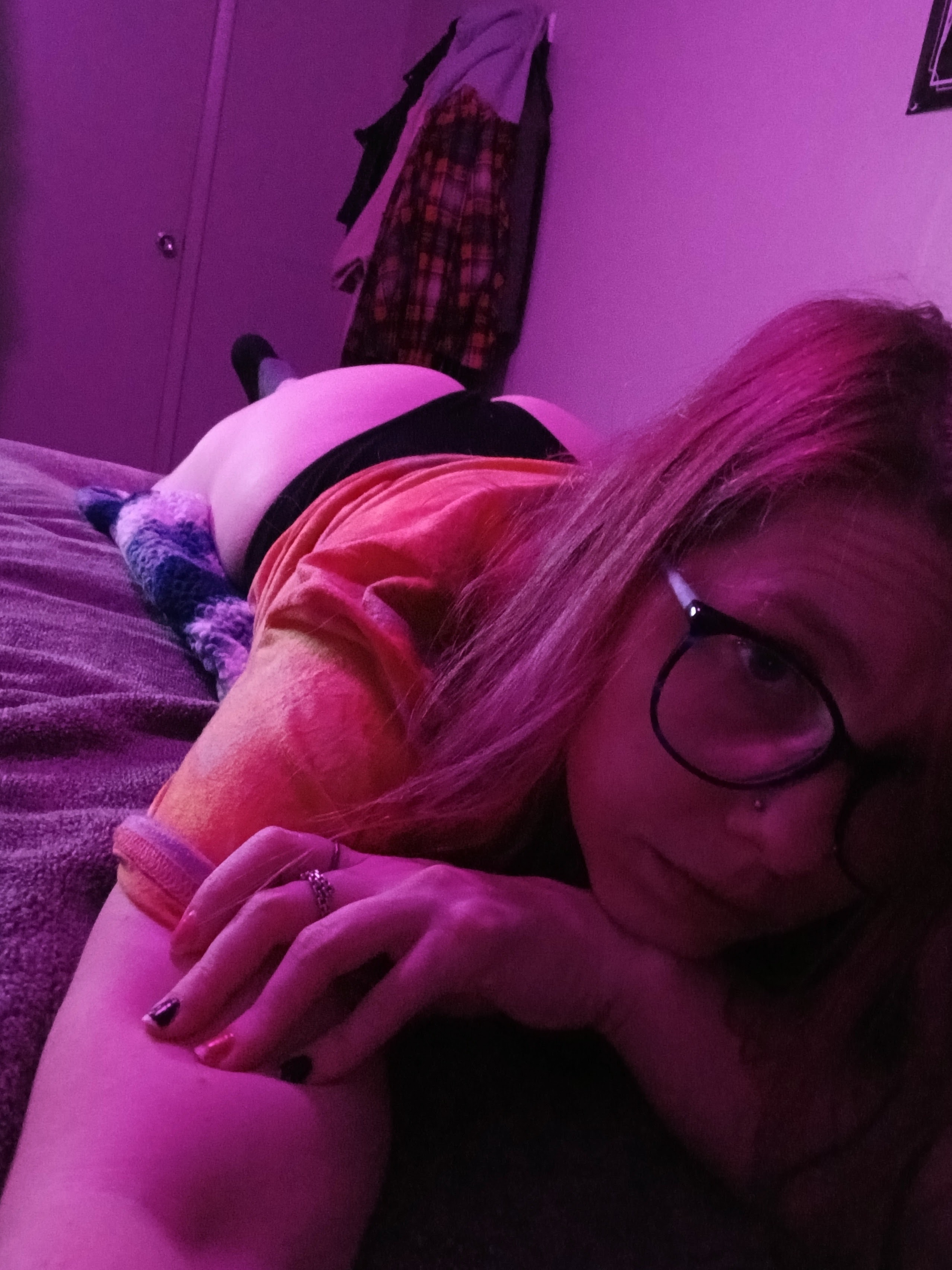 Littlefox24 banner image