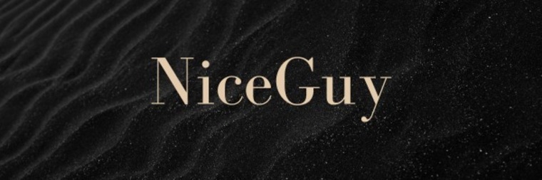 Nice Guy banner image