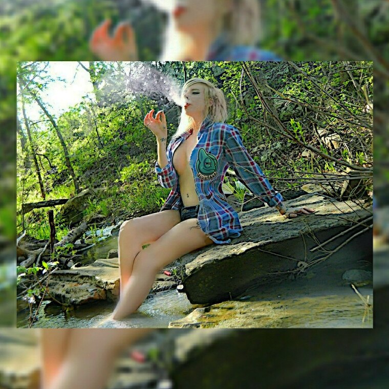 Nicholle Evol banner image