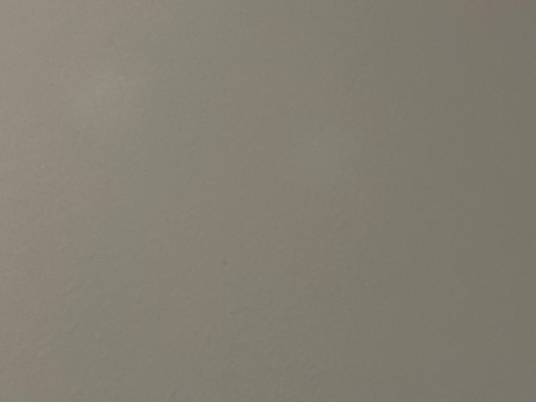 Nicki cover image