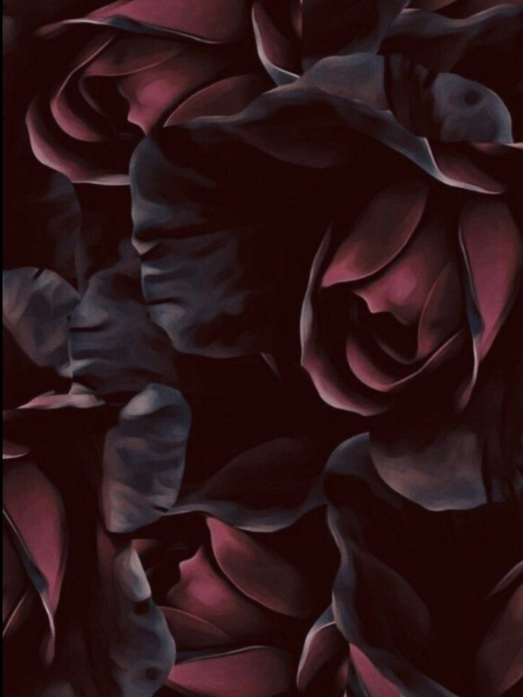 Nicki banner image