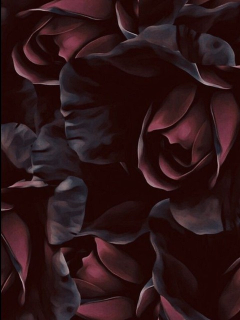 Nicki cover image