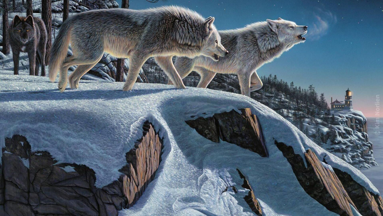 Nick cover image